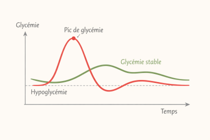 Illustration comparant un pic de glycémie avec chute rapide et une glycémie stable et progressive, en lien avec la perte de poids.