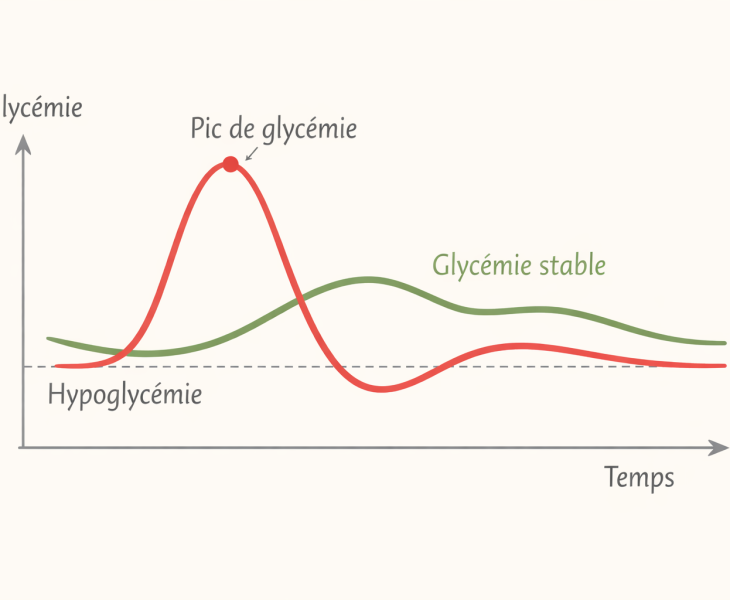 Illustration comparant un pic de glycémie avec chute rapide et une glycémie stable et progressive, en lien avec la perte de poids.