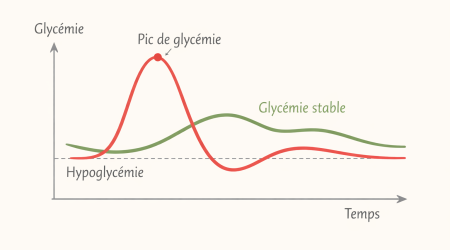 Illustration comparant un pic de glycémie avec chute rapide et une glycémie stable et progressive, en lien avec la perte de poids.